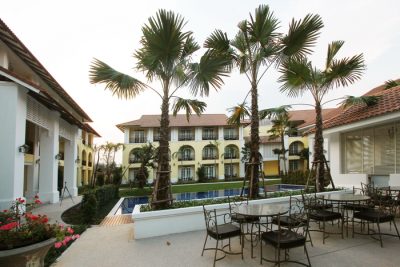 Palms and lawn between the wings